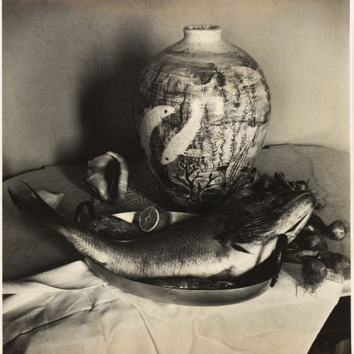 image for: Otho Lloyd - Natura morta - Cap a 1944-1950