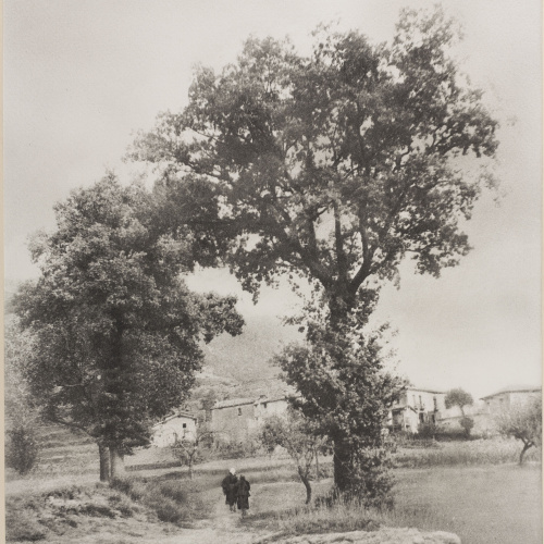 image for: Josep Maria Casals i Ariet - Vidrà - No datat