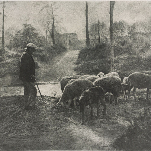 image for: Josep Maria Casals i Ariet - Pastor amb ramat de bens - No datat