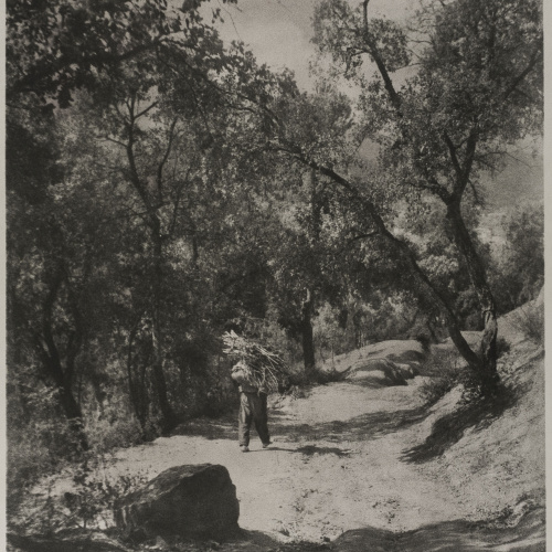 image for: Josep Maria Casals i Ariet - Paisatge amb home carregant llenya - No datat