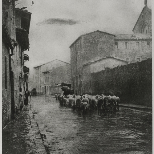 image for: Josep Maria Casals i Ariet - Carrer de poble amb ramat de bens - No datat