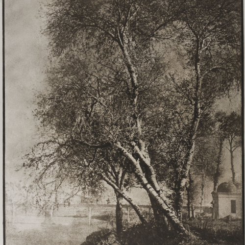 image for: Josep Maria Casals i Ariet - Paisatge - No datat