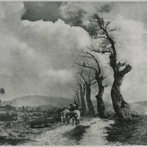 image for: Josep Maria Casals i Ariet - Paisatge - No datat