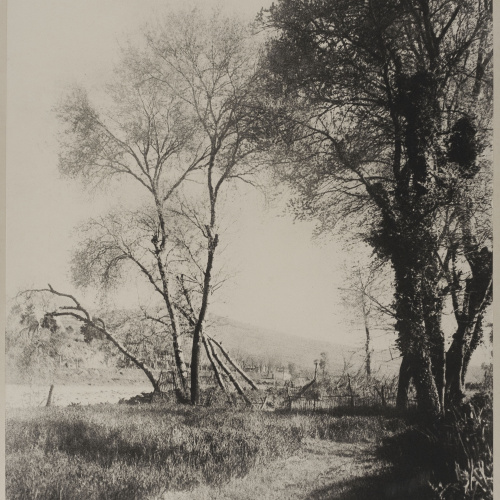 image for: Josep Maria Casals i Ariet - Mollet - No datat