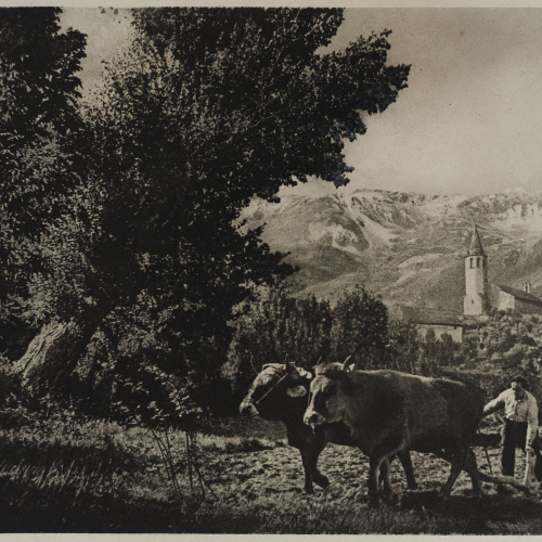 image for: Josep Maria Casals i Ariet - Paisatge amb home llaurant - No datat