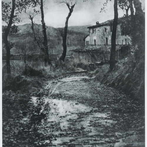 image for: Josep Maria Casals i Ariet - Paisatge - No datat