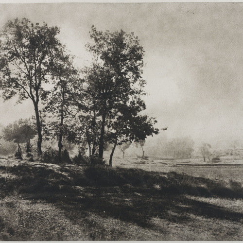 image for: Josep Maria Casals i Ariet - Paisatge - No datat