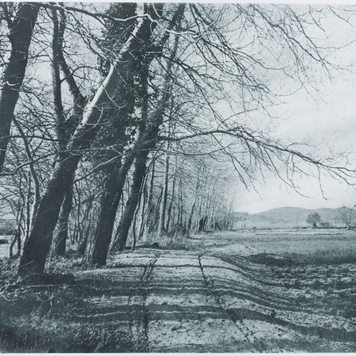 image for: Josep Maria Casals i Ariet - Paisatge - No datat