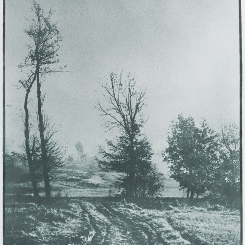 image for: Josep Maria Casals i Ariet - Paisatge - No datat