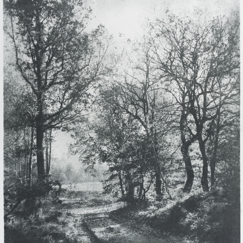 image for: Josep Maria Casals i Ariet - Paisatge - No datat