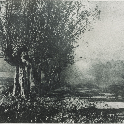 image for: Josep Maria Casals i Ariet - Paisatge - No datat