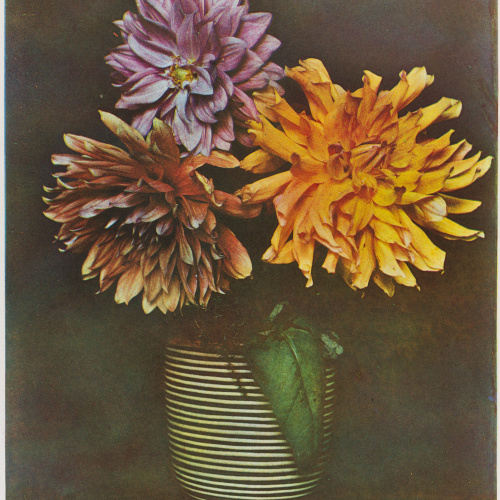 image for: Josep Maria Casals i Ariet - Gerro amb flors - No datat