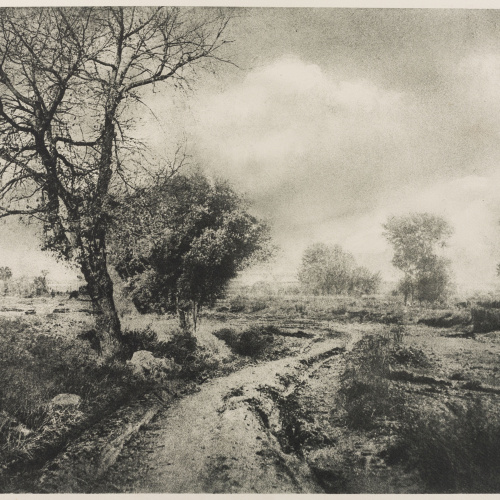 image for: Josep Maria Casals i Ariet - Paisatge - No datat