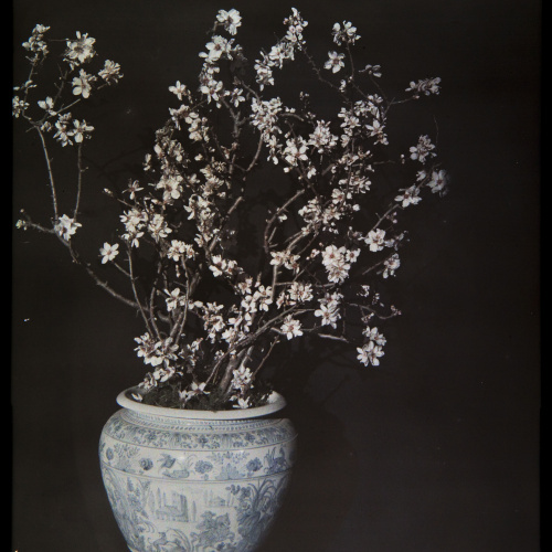 image for: Francesc Carrera Bou - Gerro amb flors - Cap a 1922-1926