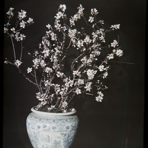 image for: Francesc Carrera Bou - Gerro amb flors - Cap a 1922-1926