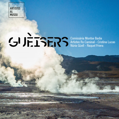 Projecte Guèisers